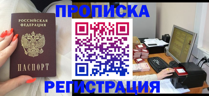 временная регистрация поиск в Новозыбкове